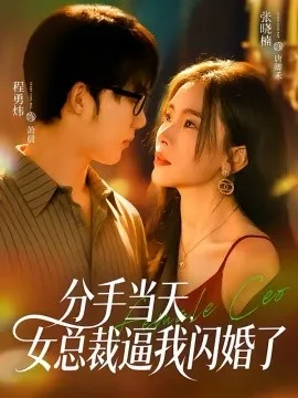 分手当天,女总裁逼我闪婚了