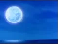 天命神童