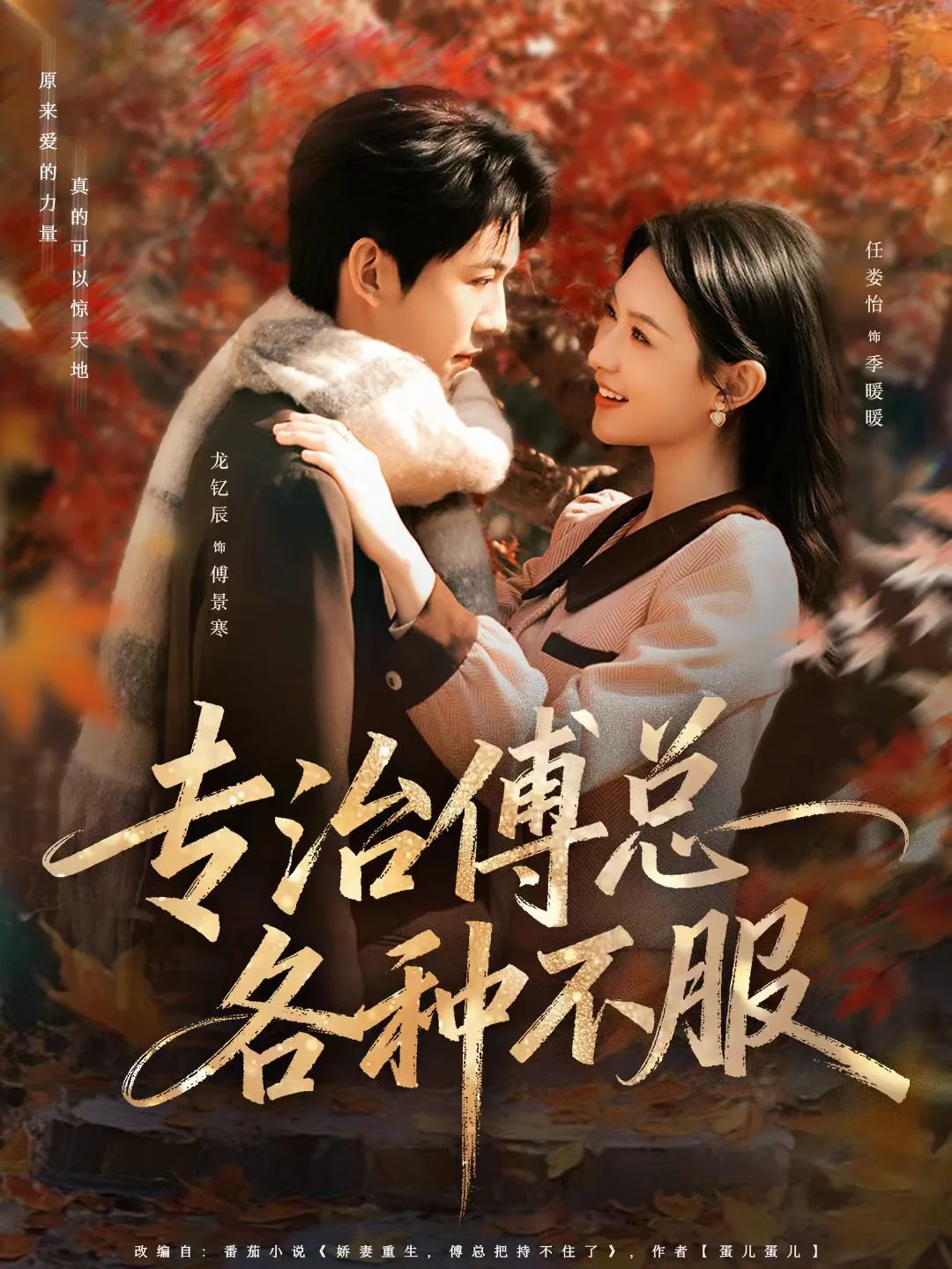 专治傅总各种不服